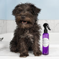 8 oz - Pet Spray