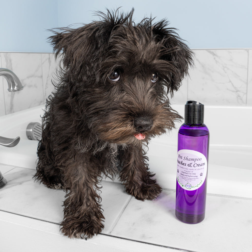 8 oz - Pet Shampoo